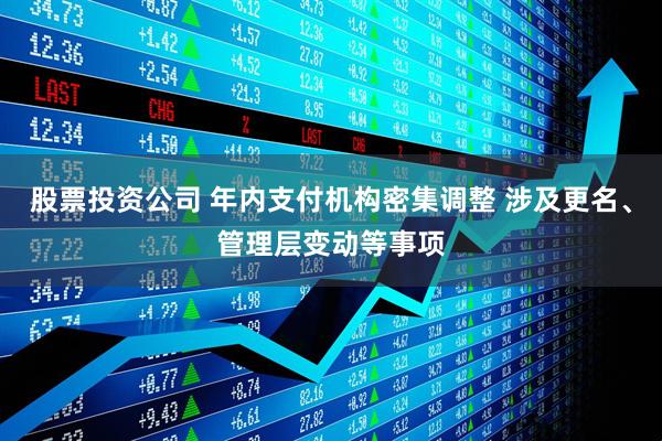 股票投资公司 年内支付机构密集调整 涉及更名、管理层变动等事项